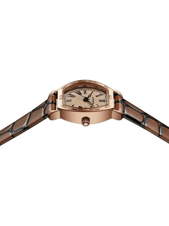 Ln Lenqin Womens Coffee Brown Analog Quartz Leather Strap Waterproof Wrist Watch